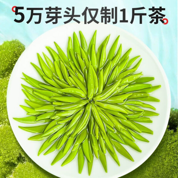 Guizhou Meitan 2024 new tea tongue green bud - Image 5