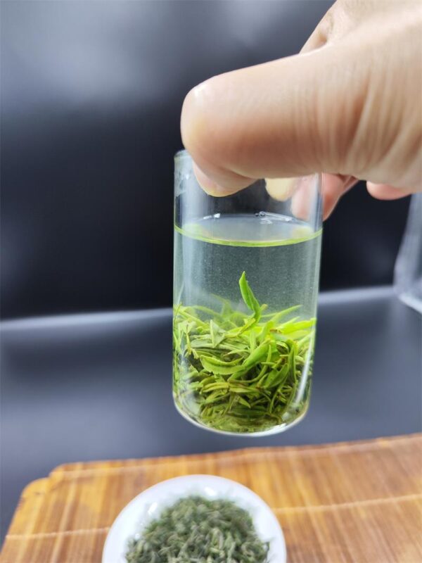 Xinyang Maojian Spring New Tea Fresh Bud Leaf Ecological Tea Garden Bulk - Image 7