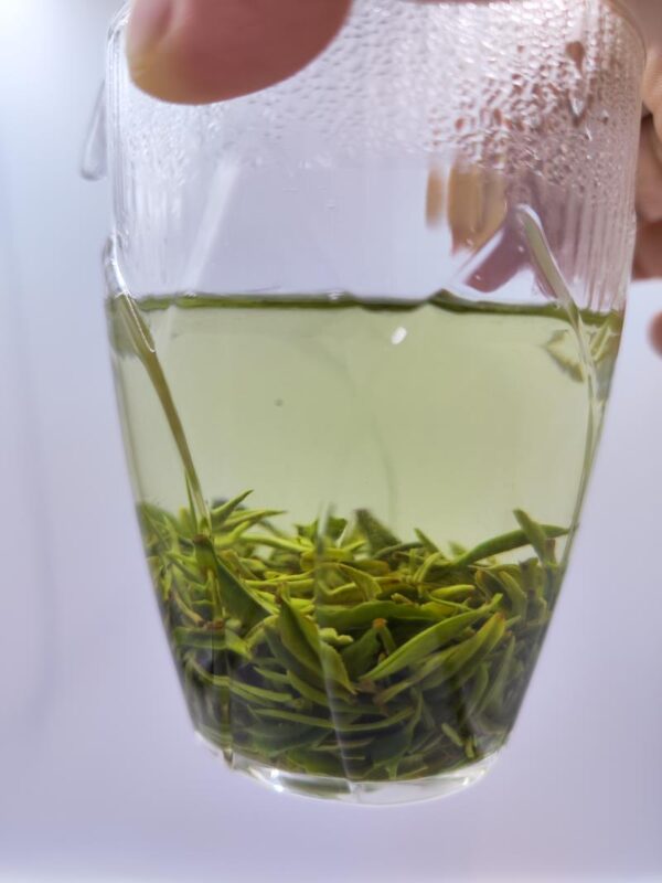 Xinyang Maojian Mingqian tea Tumen one bud and one leaf in bulk - Image 4