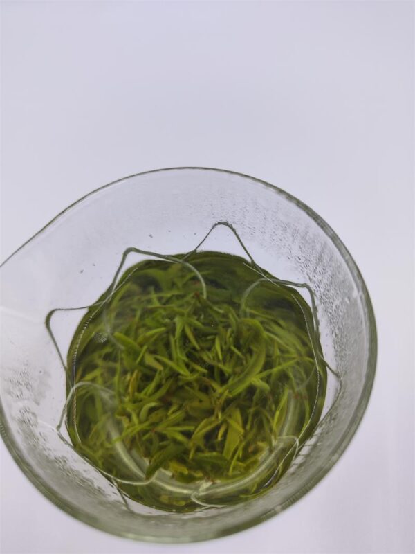 Xinyang Maojian Mingqian tea Tumen one bud and one leaf in bulk - Image 5