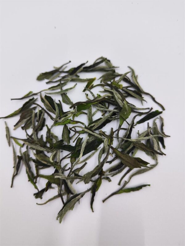 Fuding White Tea White Peony 2024 Spring Tea - Image 3