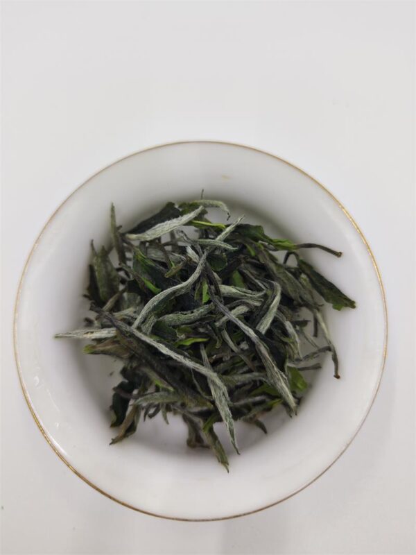 Fuding White Tea White Peony 2024 Spring Tea - Image 4