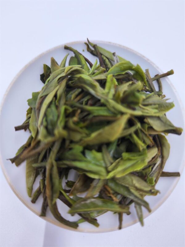 Fuding White Tea White Peony 2024 Spring Tea - Image 6