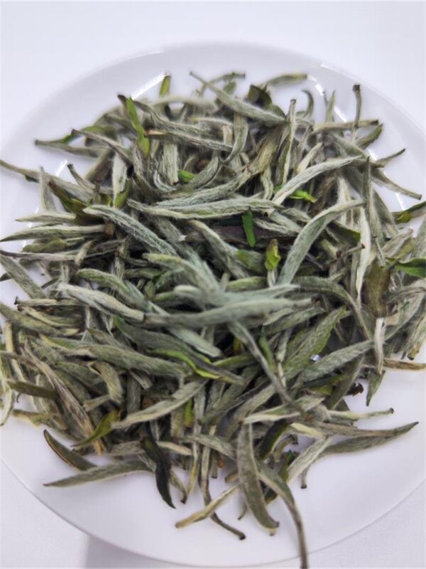 Fuding White Tea Baihao Silver Needle - Image 3