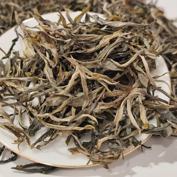 Yunnan Lincang Ancient Tree Tea Shengpu Bulk - Image 4