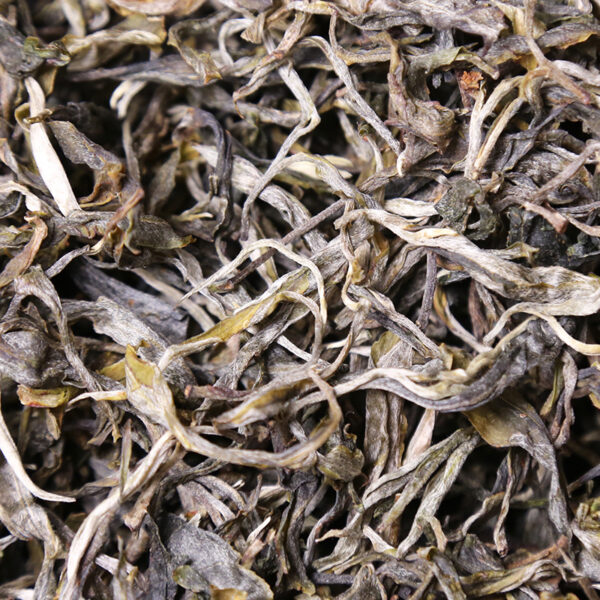 Yunnan Lincang Ancient Tree Tea Shengpu Bulk - Image 3